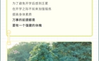 告急！暑假已过半，这份秘籍请收好！