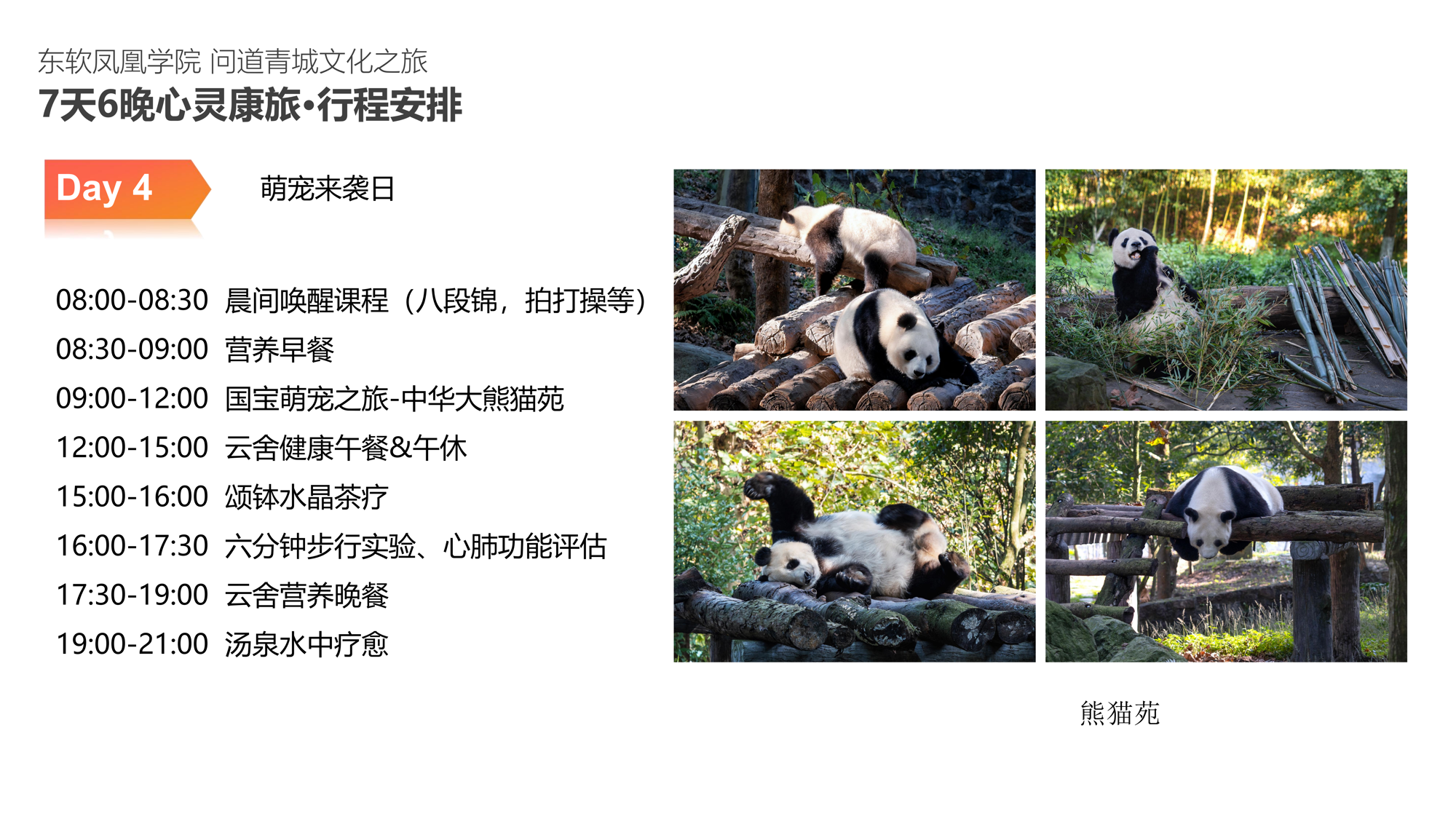 ab747b2f1e044a928c3305c58b6b0a08.png