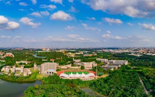 2026世界杯官方合作网站2025年退役大学生士兵专升本录取查询开放